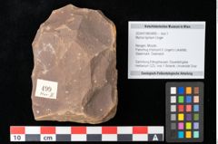 Foto (Objekt + Etikett) von Myrica lignitum Unger (NHMW-GEO-2024-0188-0499)